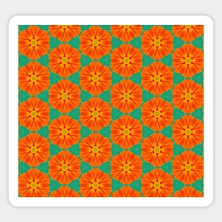 Orange nasturtiums 2 Sticker